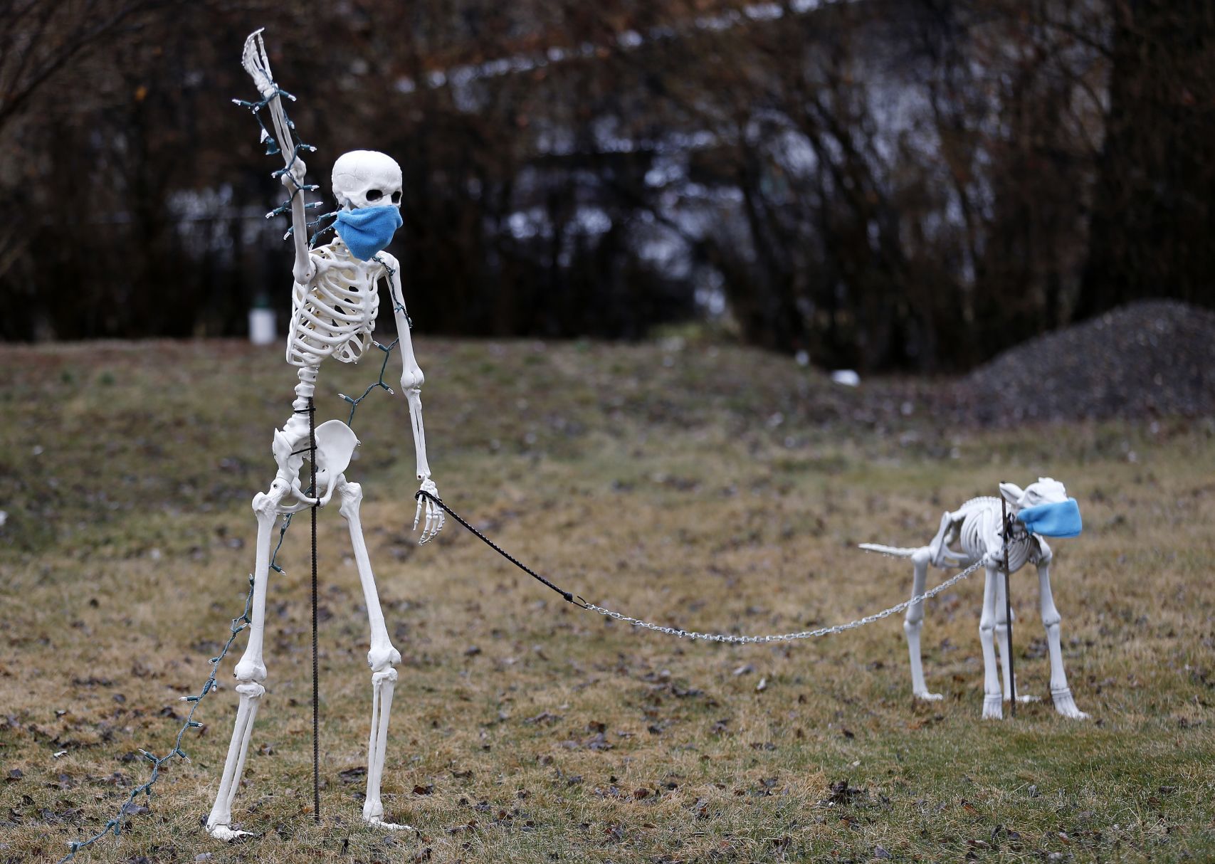 Masked skeletons